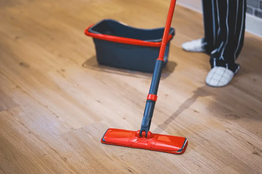 Transform Your Home with Tampa's Wood Floor Cleaning 
