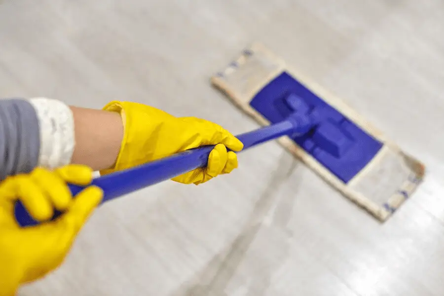  Floor Cleaning