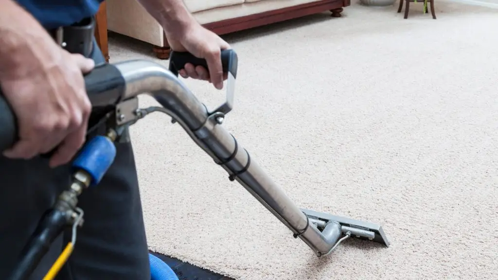 Carpet Cleaning