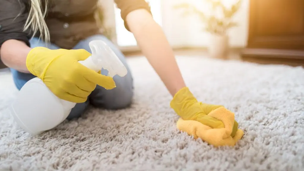 Carpet Cleaning