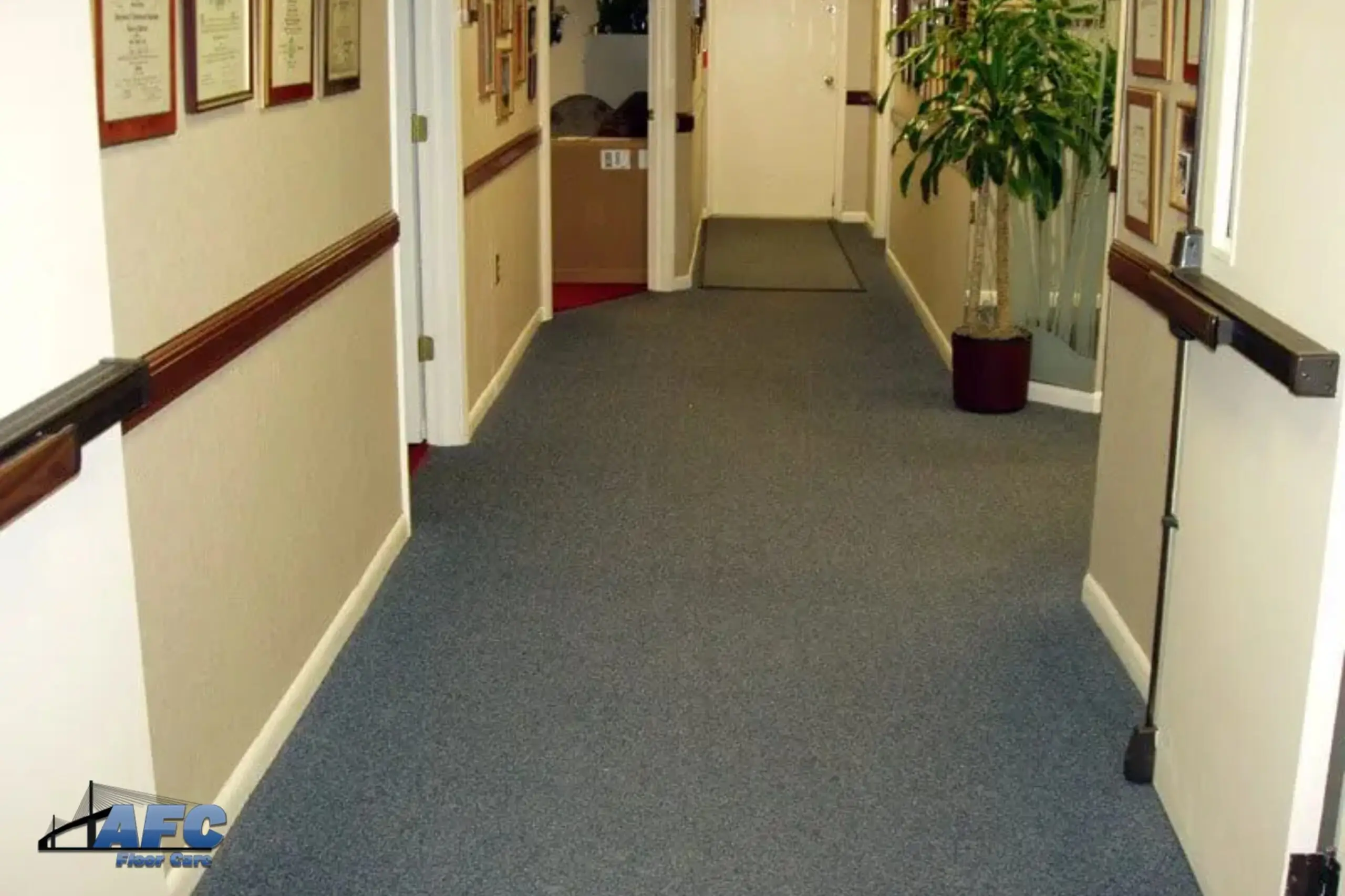 Commercial carpet cleaning